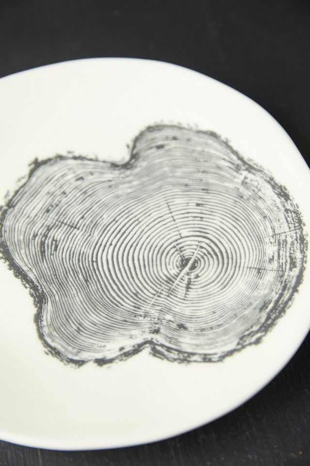 Tree Ring Plates, Set of 4 #3