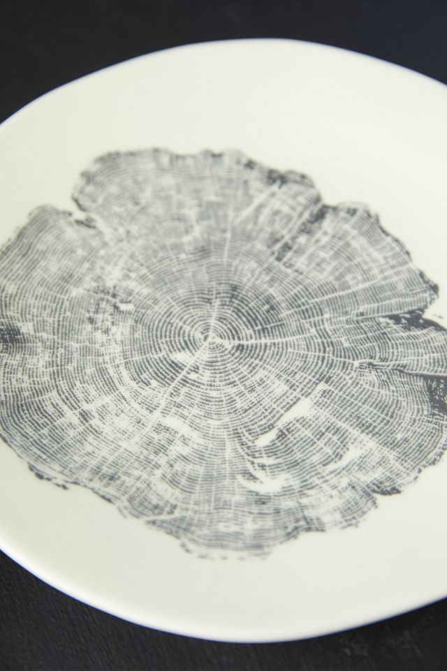 Tree Ring Plates, Set of 4 #4