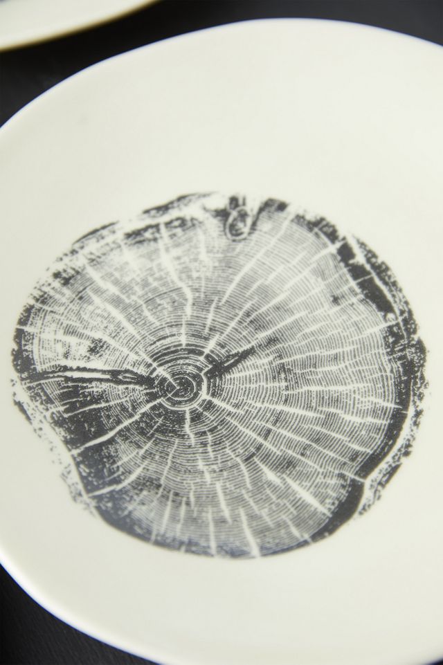 Tree Ring Plates, Set of 4 #5