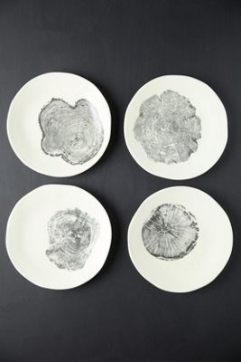 Tree Ring Plates, Set of 4