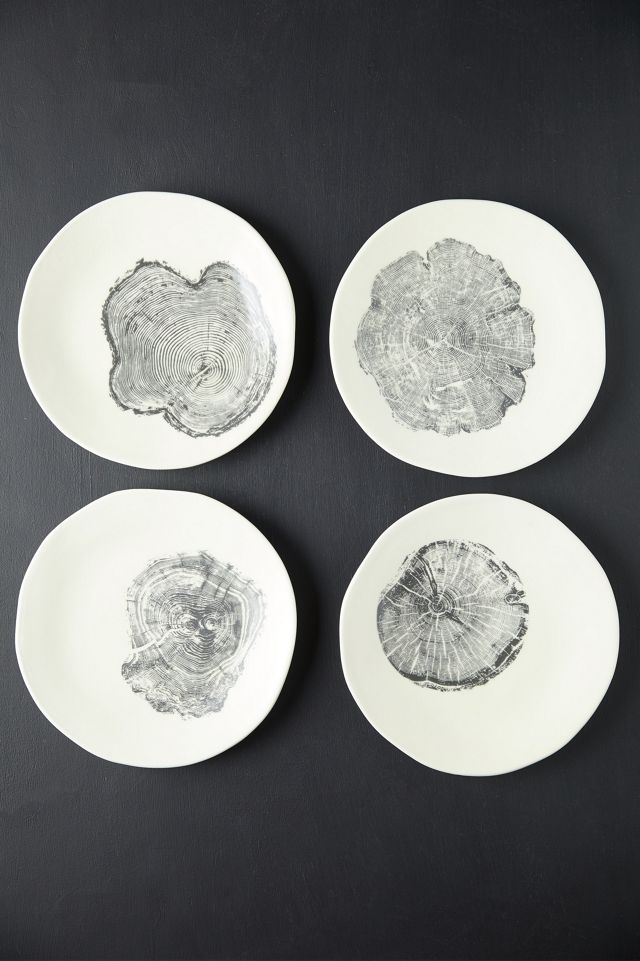 Tree Ring Plates, Set of 4