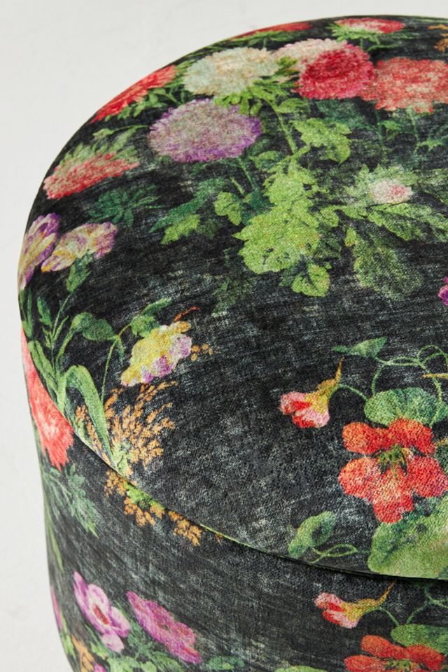 Briar Velvet Louise Storage Ottoman #1