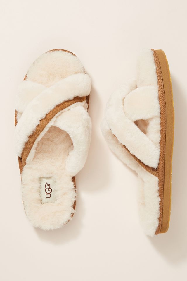 Ugg on sale slippers abela