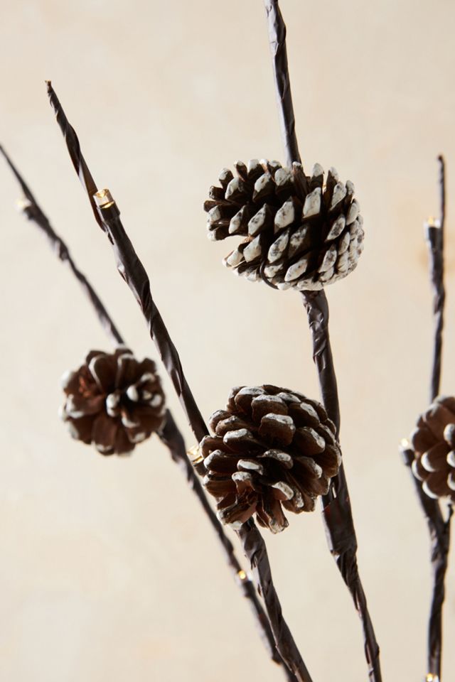 Twinkling Pinecone Branches #1