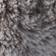 Grey Pattern