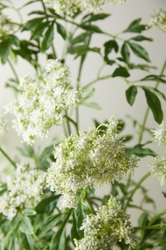 Faux Potted Queen Anne's Lace Plant #2
