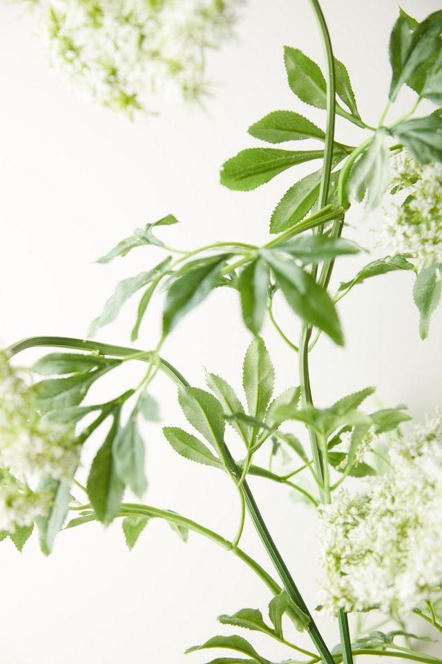 Faux Potted Queen Anne's Lace Plant #3