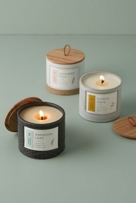 Hive & Wick Ceramic Candle