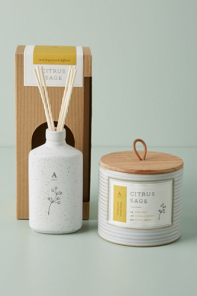 Hive & Wick Ceramic Candle #2