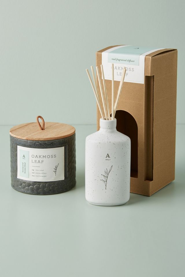 Hive & Wick Ceramic Reed Diffuser #2