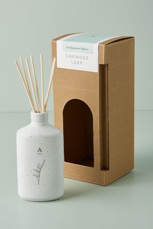 Hive & Wick Ceramic Reed Diffuser #1