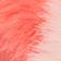 Pink Pattern