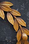 Antiqued Golden Iron Olive Wreath #2