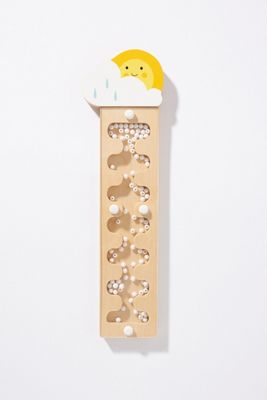 Rainstick Toy