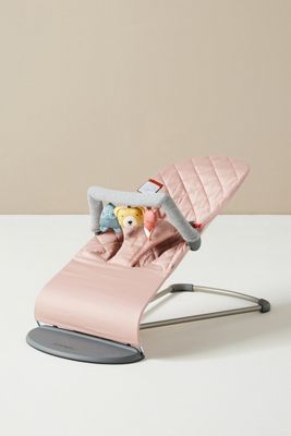 BabyBjorn Bouncer Bundle