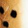 Brown Pattern