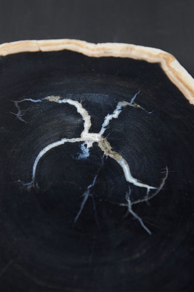 Petrified Wood Serving Board #3
