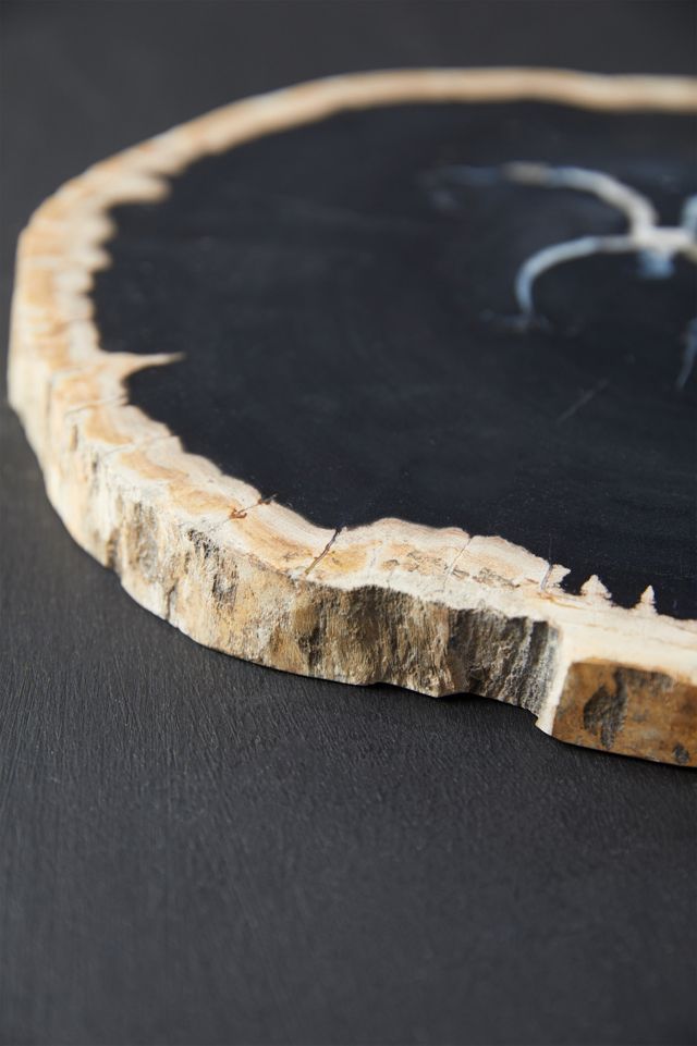 Petrified Wood Serving Board #4