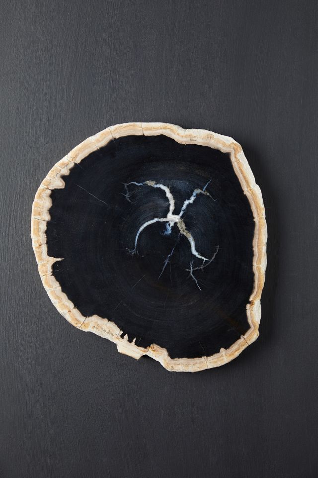 Petrified Wood Serving Board #2