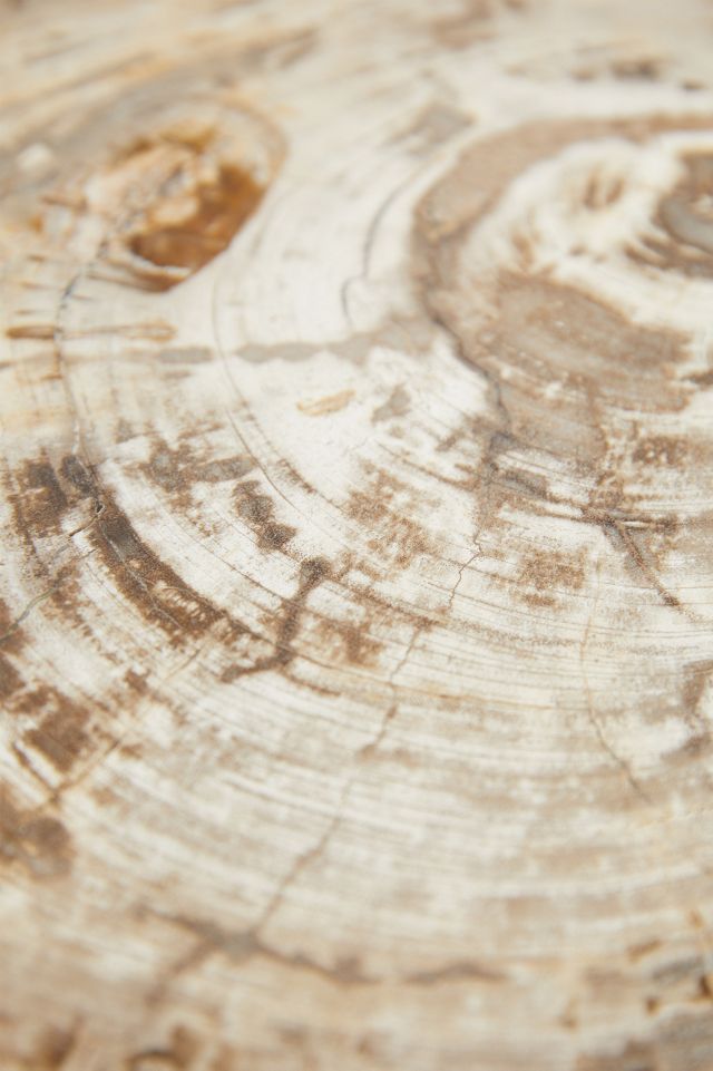 Petrified Wood Serving Board #2