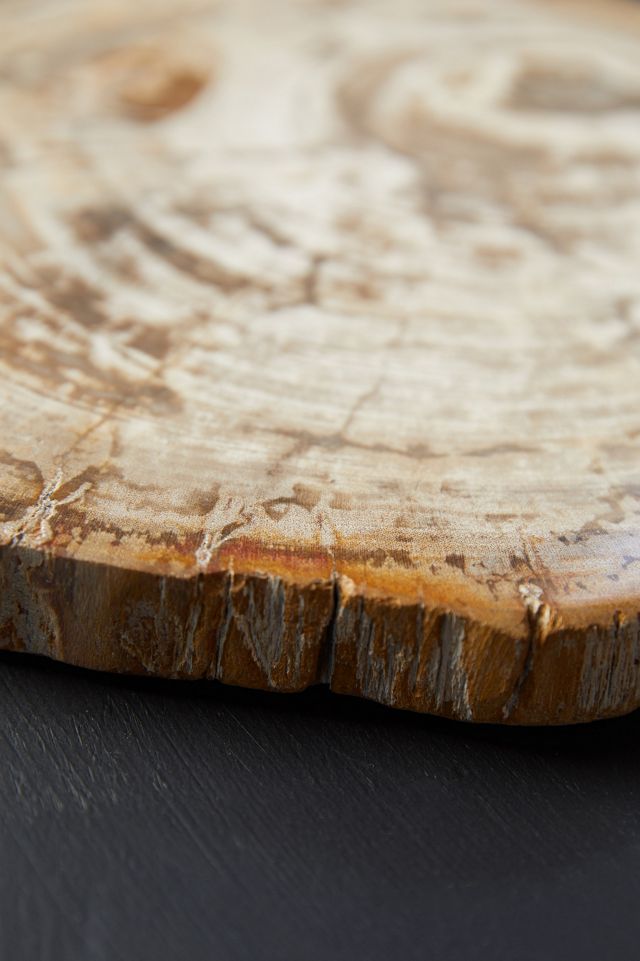 Petrified Wood Serving Board #3