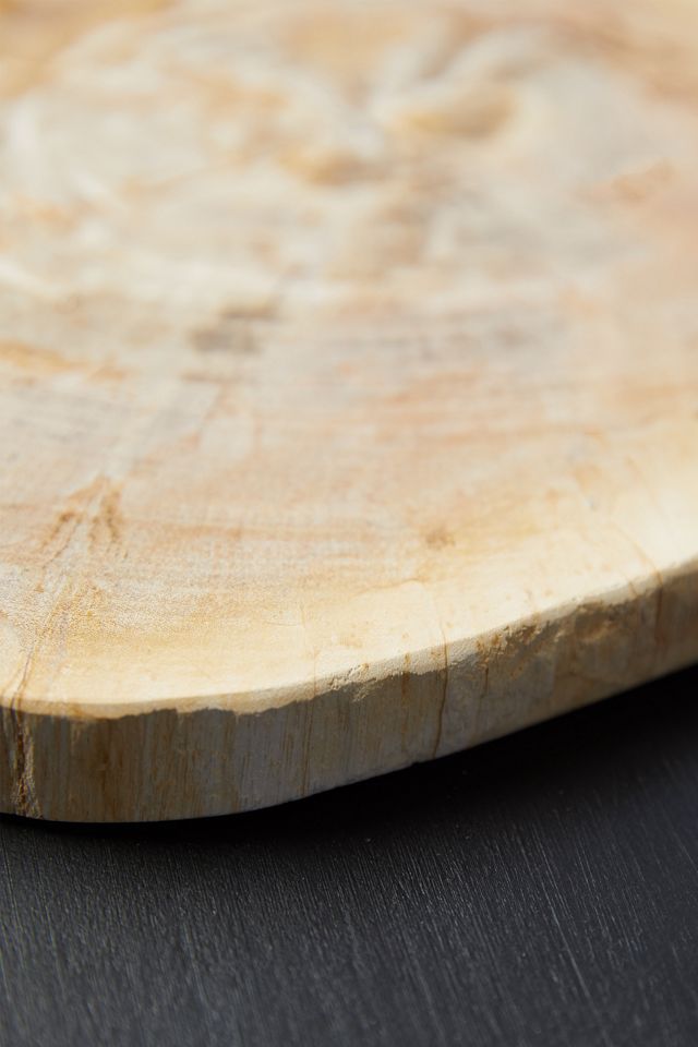 Petrified Wood Serving Board #4