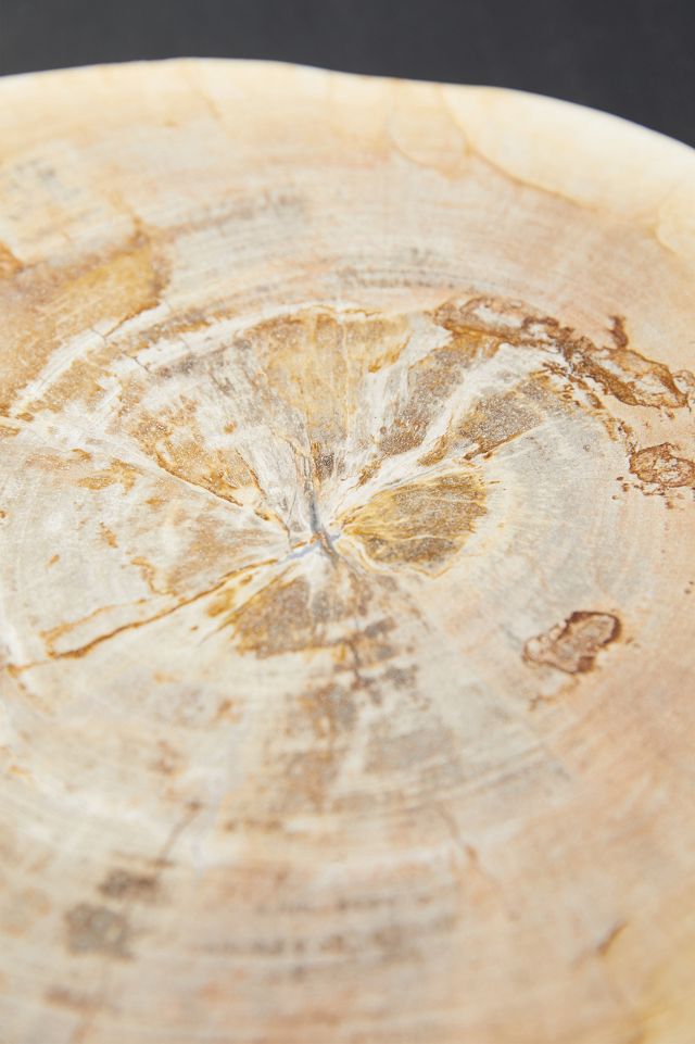 Petrified Wood Serving Board #5