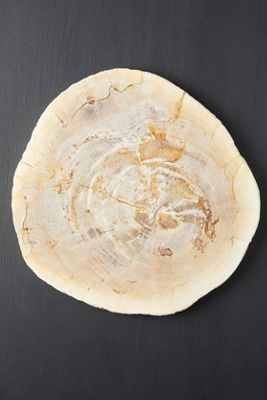 Petrified Wood Serving Board