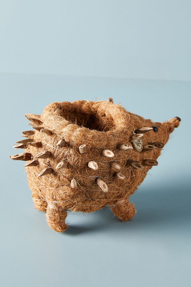Hedgehog Planter #1