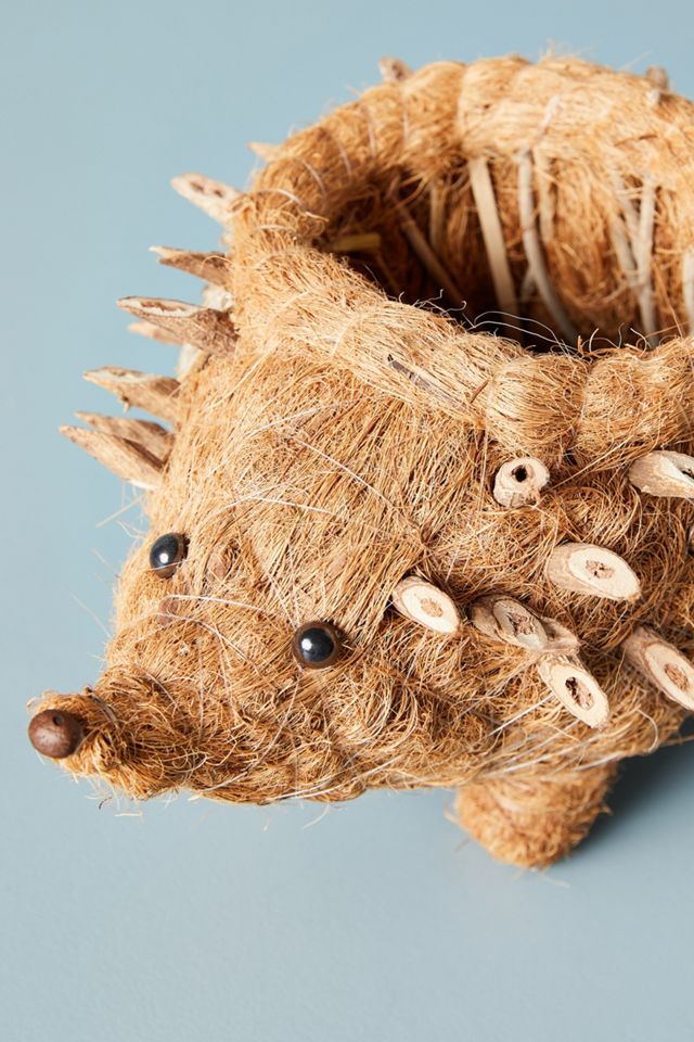 Hedgehog Planter #2