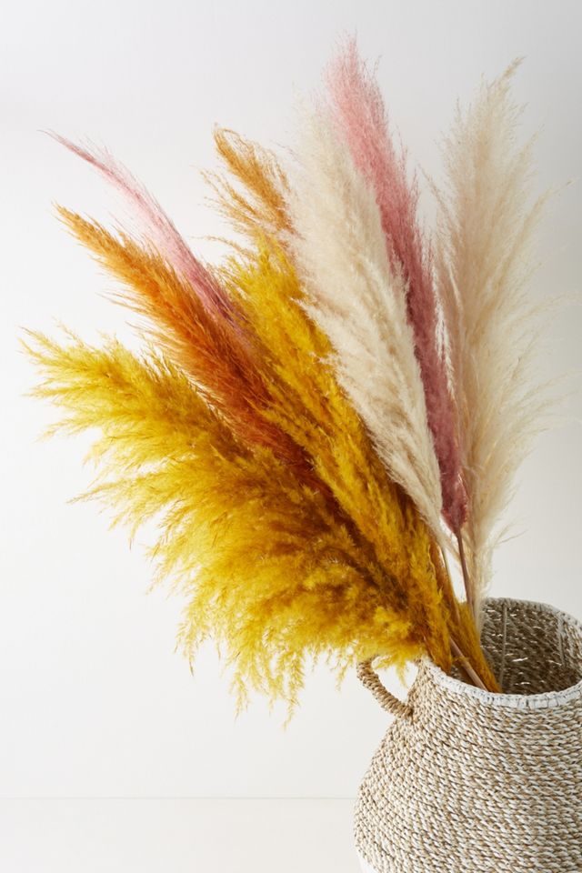 Dried Pampas Grass Three-Stem Bouquet #2