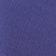 ASTER PURPLE