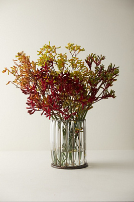 Terrain Fresh Kangaroo Paw Bunch