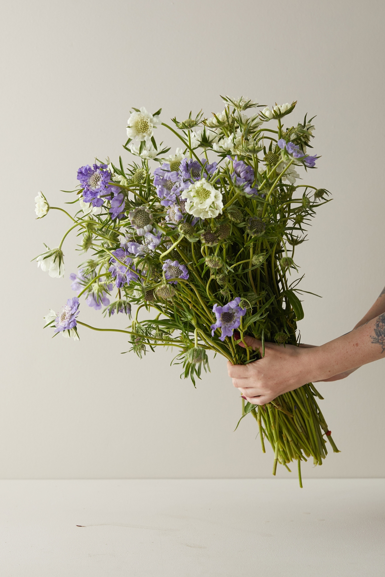 Fresh Blue + White Scabiosa Bunch