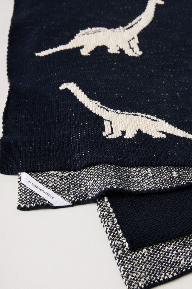 Dinosaur Baby Blanket #2