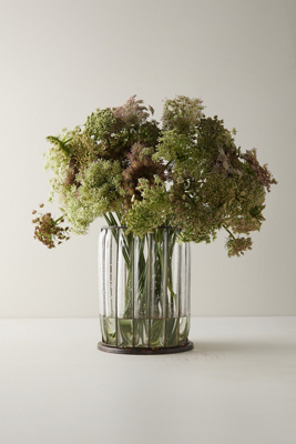 Terrain Fresh Chocolate Queen Anne Lace Bunch In Green