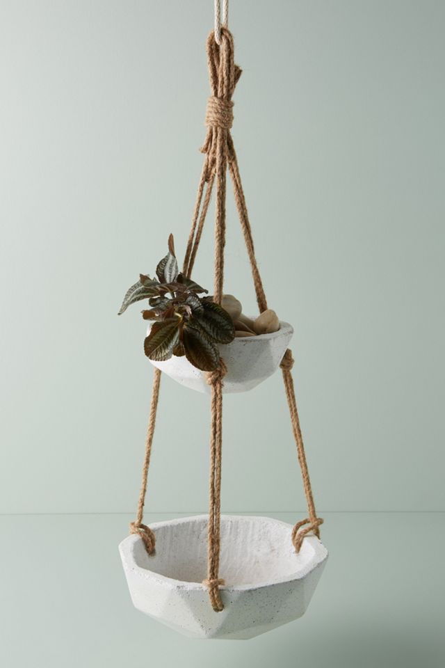 lucky bamboo plants Braided Live Lucky Bamboo Plant in Green Ceramic Vase  Houseplants New  York LLC