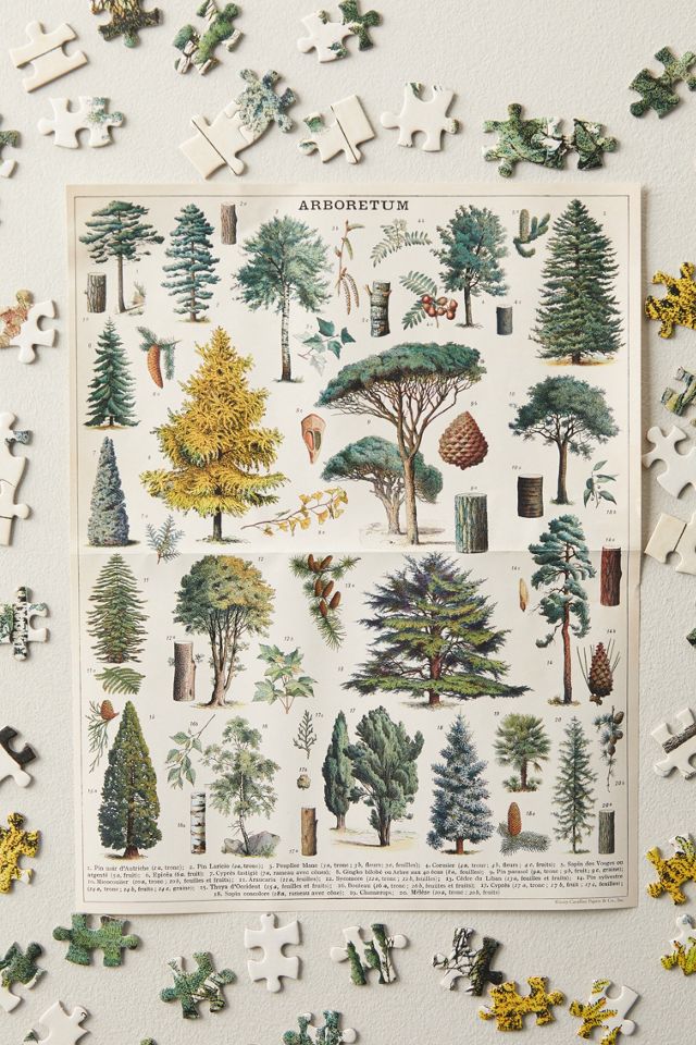 Arboretum Puzzle #1
