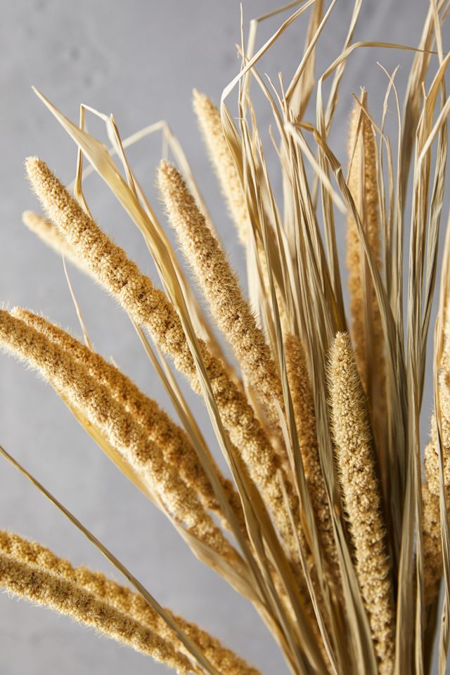 Dried Millet Bunch #1