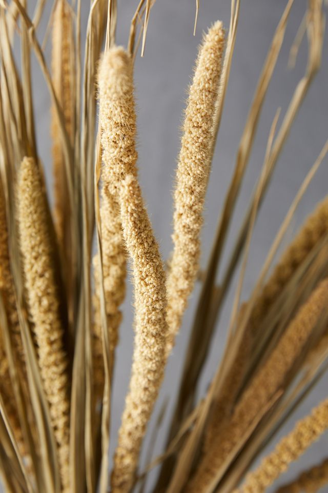 Dried Millet Bunch #3