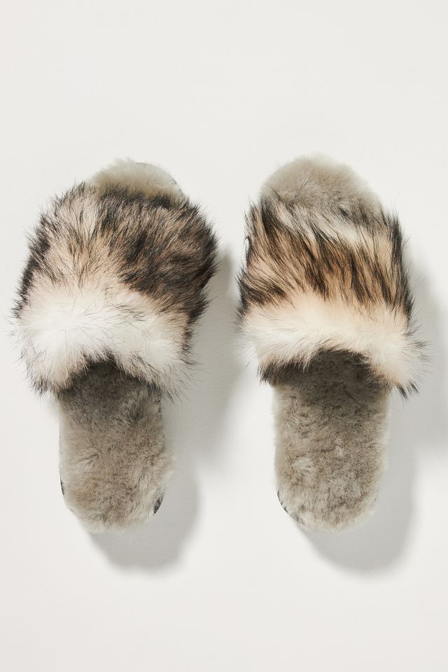 Emu best sale myna slippers