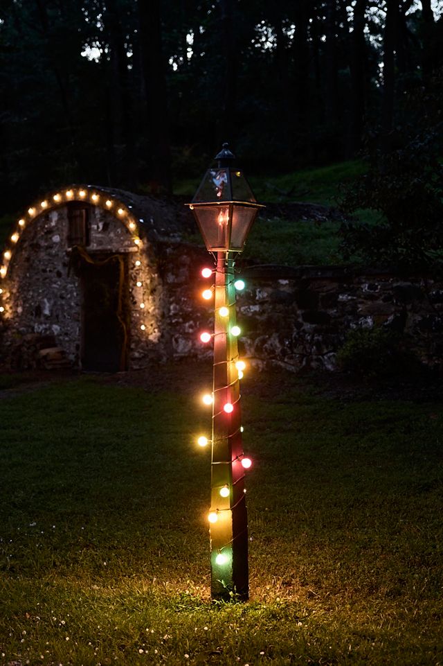 Stargazer Garden Lights Set of 21 Bulbs, Pastille