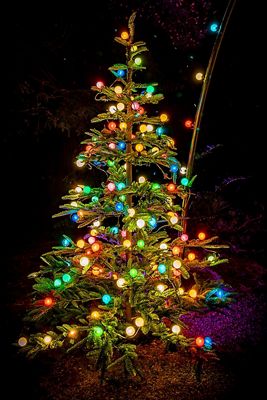 Stargazer Garden Lights, Set of 21 Bulbs, Yesteryear