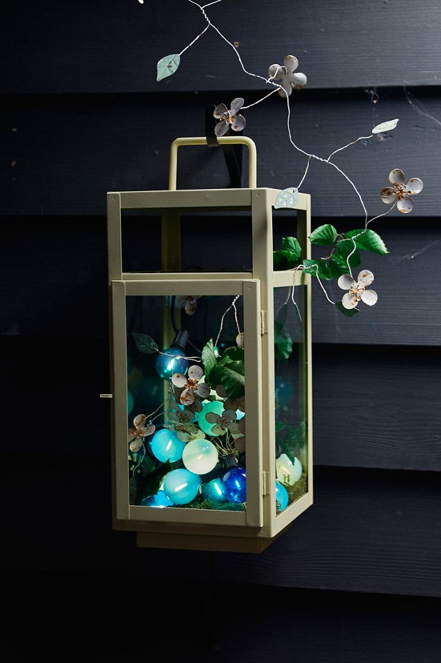 Stargazer Garden Lights, Set of 21 Bulbs, Northern Lights | Terrain