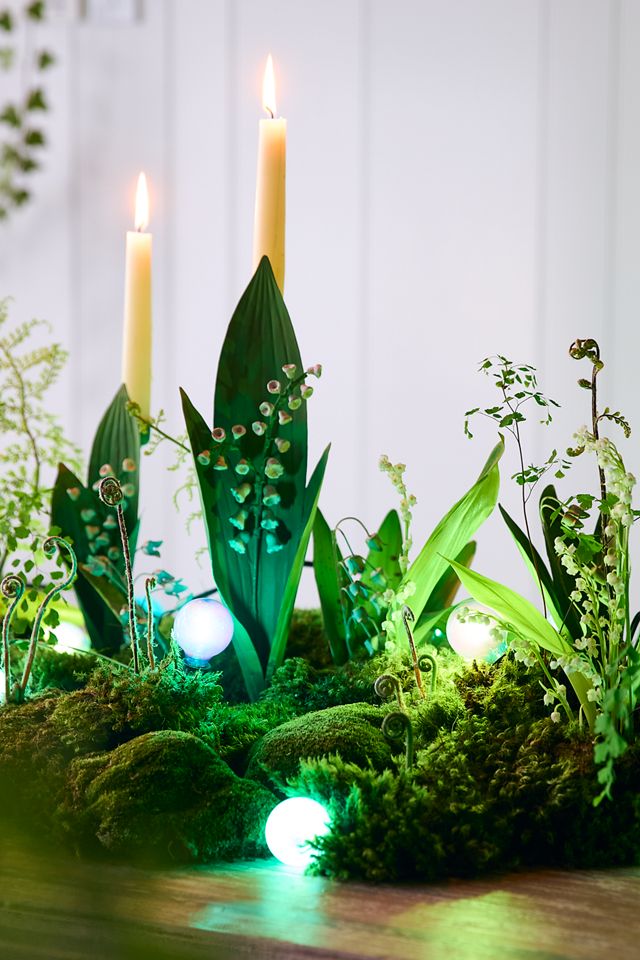 Stargazer Garden Lights, Set of 21 Bulbs, Northern Lights | AnthroHome