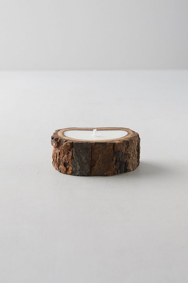 Evergreen Tree Bark Candle #1