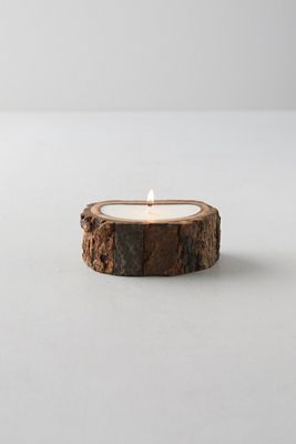 Evergreen Tree Bark Candle