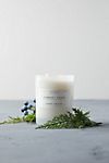 Sydney Hale Candle, Cypress + Cassis