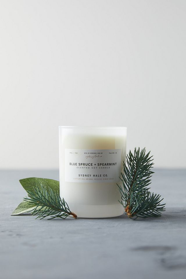 Sydney Hale Candle, Blue Spruce + Spearmint #2