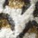 Brown Pattern